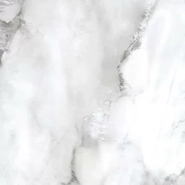 Примавера Acacia PR221